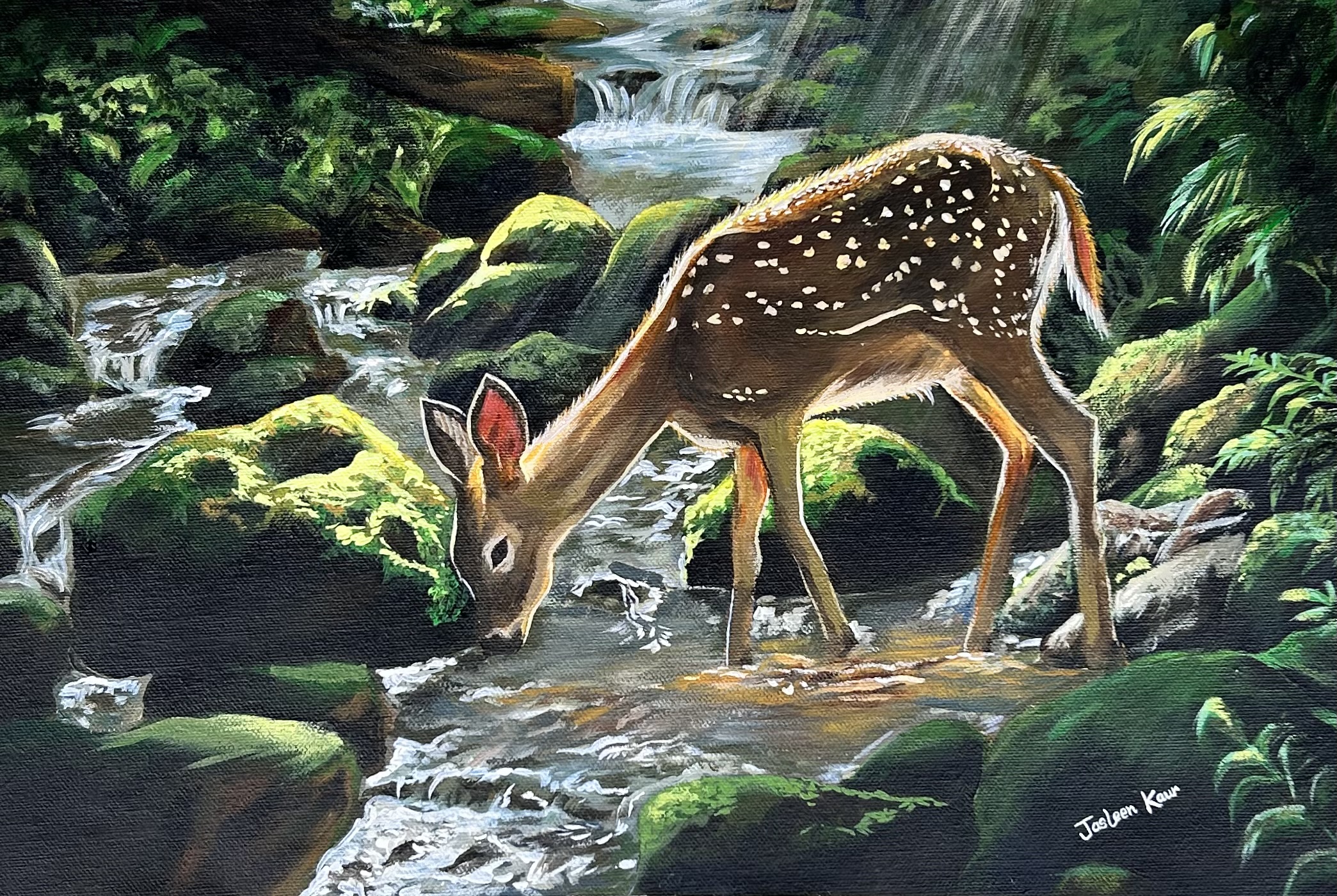 Deer by the forest stream